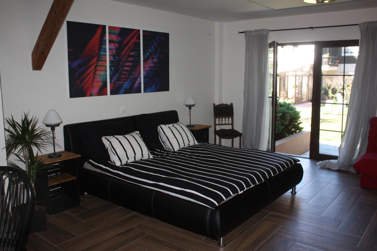 Barvicka Bed & Breakfast Tremosna Exterior photo